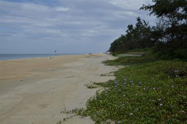 01 Mobor-Beach_and_Cavelossim-Beach,_Goa_DSC6325_b_H600